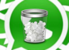 ¿Qué Son y Para Qué Sirven “Borrar Datos” y “Eliminar Caché” en WhatsApp?